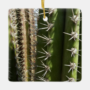 Barrel Cactus II Desert Nature Photo Julgransprydnad Keramik