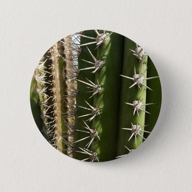 Barrel Cactus II Desert Nature Photo Knapp (Framsida)