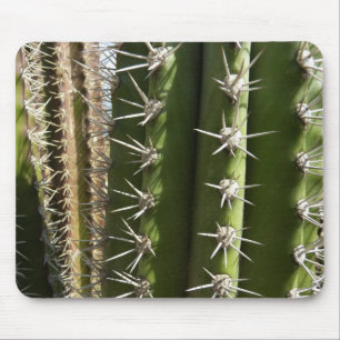 Barrel Cactus II Desert Nature Photo Musmatta