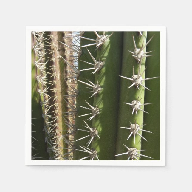 Barrel Cactus II Desert Nature Photo Pappersservett (Framsidan)