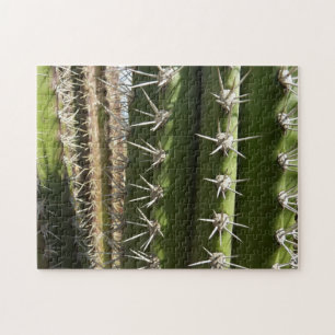 Barrel Cactus II Desert Nature Photo Pussel