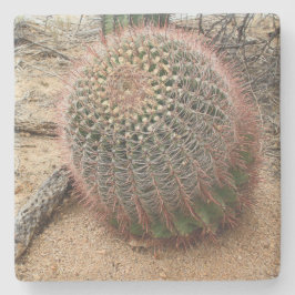 Barrel cactus in the Desert, Arizona, sq underlägg