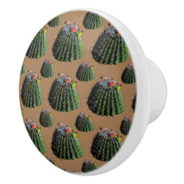 Barrel Cactus Knobs Knopp