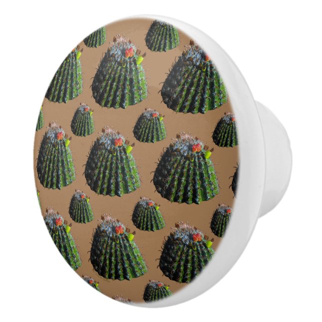 Barrel Cactus Knobs Knopp (Höger)