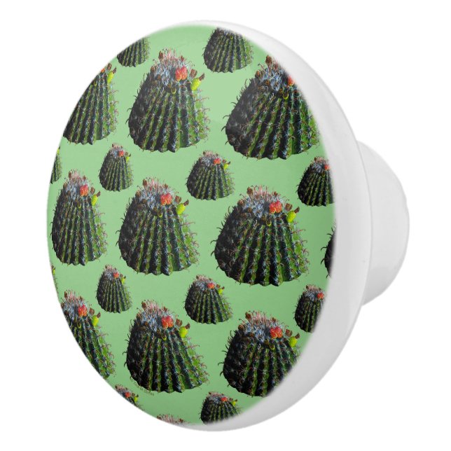 Barrel Cactus Knobs Knopp (Höger)