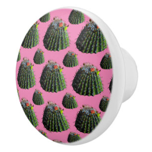 Barrel Cactus Knobs Knopp
