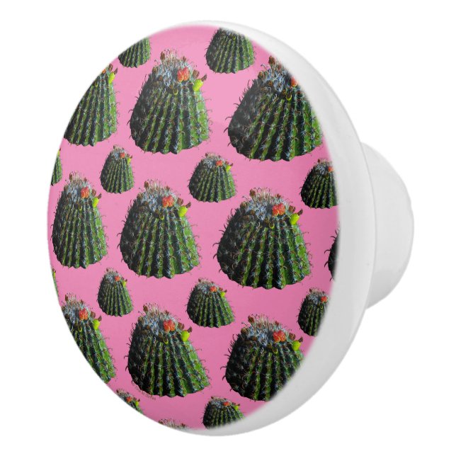 Barrel Cactus Knobs Knopp (Höger)