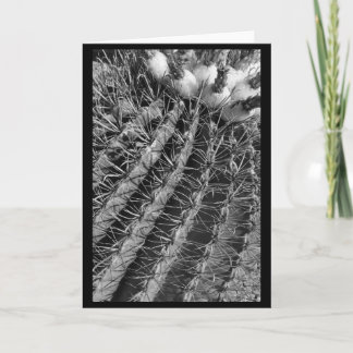 Barrel Cactus Kort