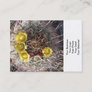 Barrel Cactus Plant Fishkrok Gult Visitkort
