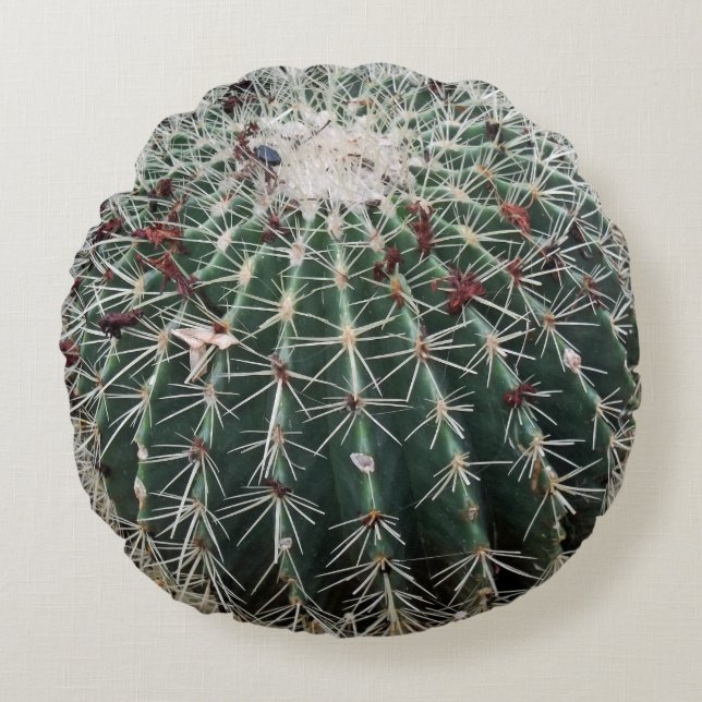 Barrel Cactus Southwest Design Desert Plants Rund Kudde (Framsidan)