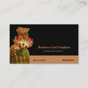 Barrel Desert Arizona Cactus Flowers Visitkort