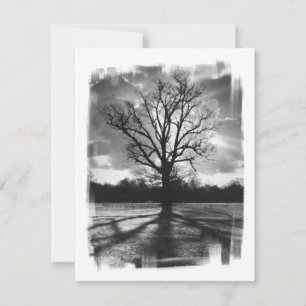 Barren Grenar Träd