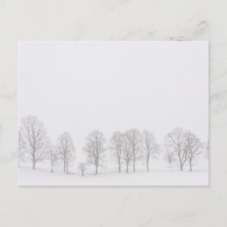 Barren träd i ett snö-vitt vykort