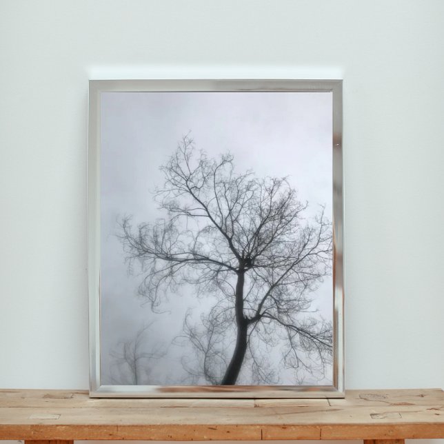 Barren Träd i Misty Himlar Fototryck (Skapare uppladdad)