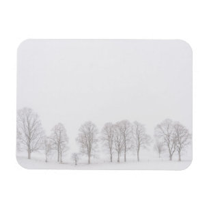 Barren träd i snö, vit världsrektangulär magnet