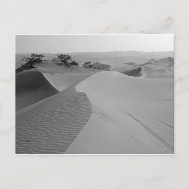 Barren Vykort (Framsida)