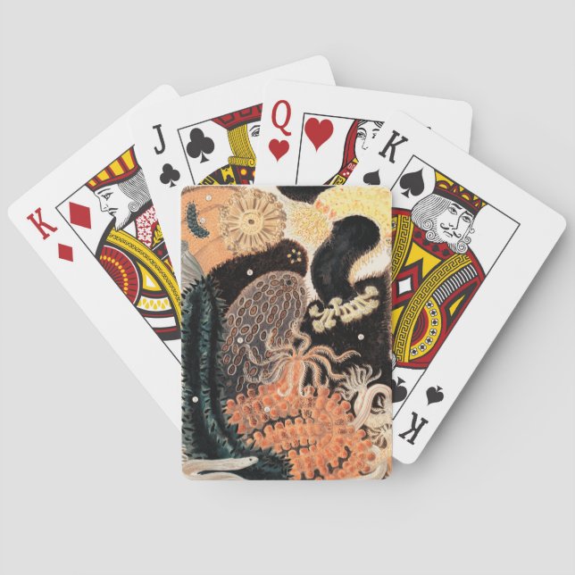 Barrier Reef Anemones Casinokort (Baksidan)