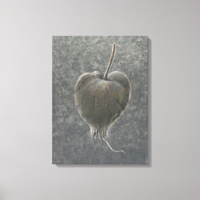 Barringtonia Acutangula 2 Canvastryck (Framsida)