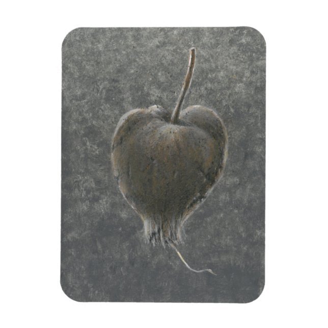 Barringtonia Acutangula 2 Magnet (Vertikal)