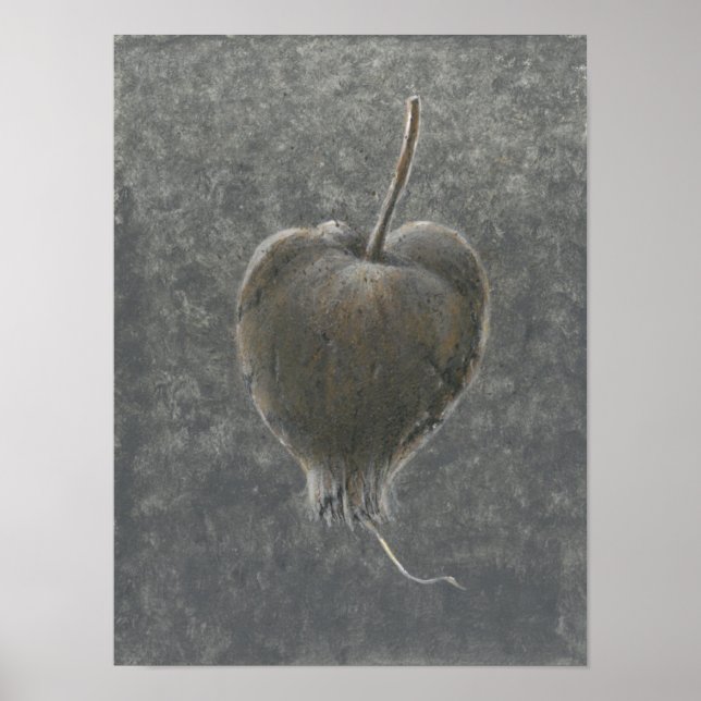 Barringtonia Acutangula 2 Poster (Framsidan)