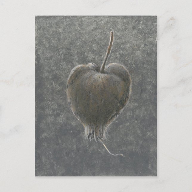 Barringtonia Acutangula 2 Vykort (Framsida)