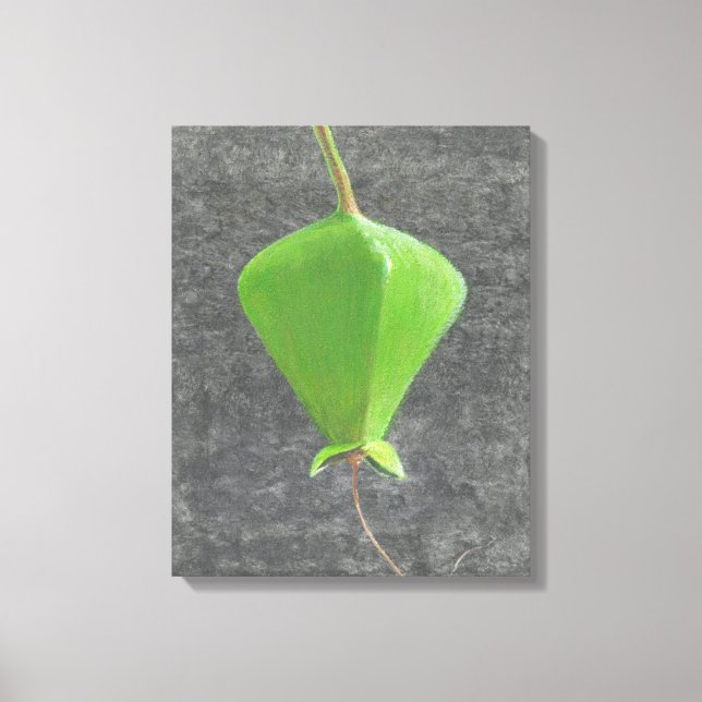 Barringtonia Acutangula Canvastryck (Framsida)