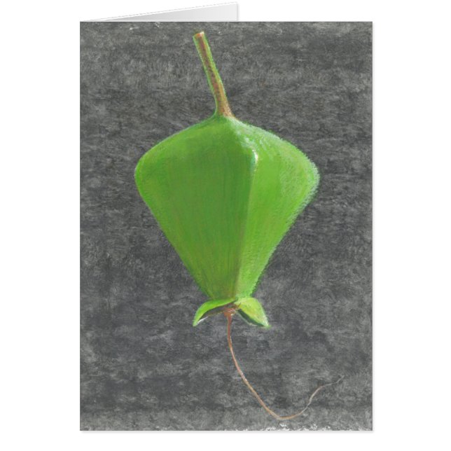 Barringtonia Acutangula Hälsningskort (Framsidan)