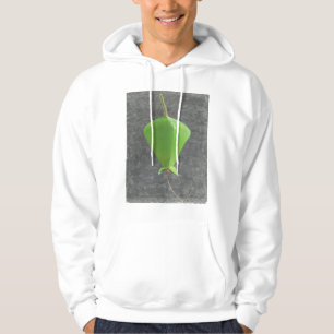 Barringtonia Acutangula Sweatshirt Med Luva