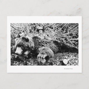 Barr's Bear over 10 Foot Long, Alaska Vykort