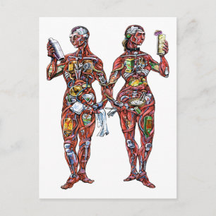 Bartender Anatomy (man och kvinna) vykort