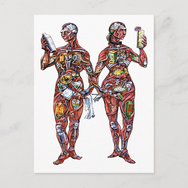 Bartender Anatomy (man och kvinna) vykort (Framsida)
