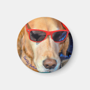 Barticus "för kall hund" magnet