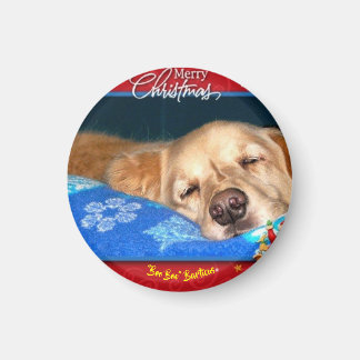 Barticus jul Magnet
