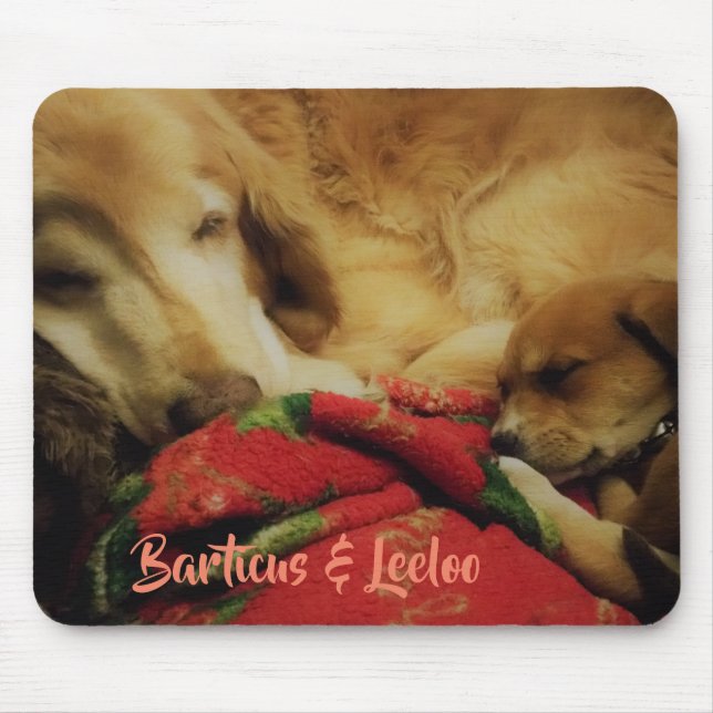 Barticus & Leeloo Mousepad Musmatta (Framsidan)