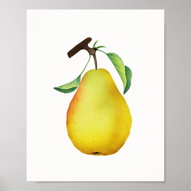 Bartlett Juicy Pear Fruit Kitchen Poster (Framsidan)