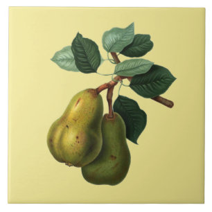 Bartlett Pears Botanical ~ Valfri Färg-bakgrund ~ Kakelplatta