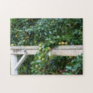 Bartlett Pears on Träd Orton Effect Jigszle Puzzle Pussel