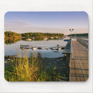 Bartletts Landing i Maine Musmatta