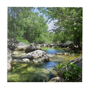 Barton Bäck Crossing - Austin Texas Kakelplatta
