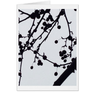 Bärträd mot himmlen hälsningskort