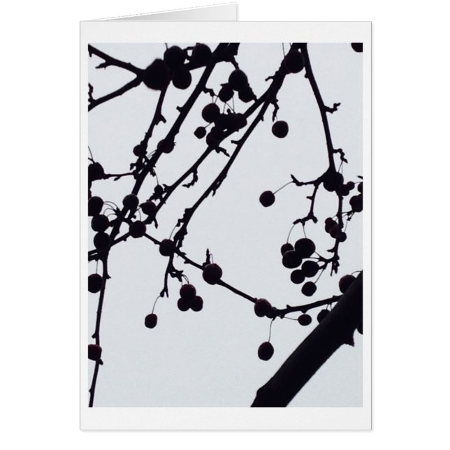 Bärträd mot himmlen hälsningskort (Framsidan)