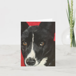Baru - Pet Porträtt Notecard Kort