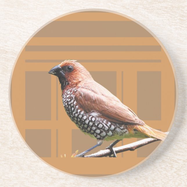 Barware & Pub Verktyg > Underlägg (Framsidan)