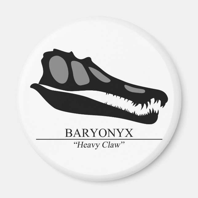 Baryonyx Skull Magnet (Framsidan)