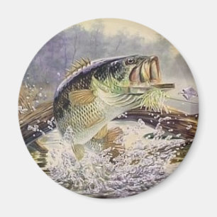 bas- fisk magnet