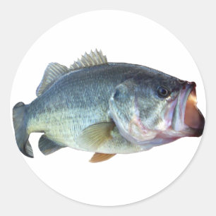 Bas- fisk runt klistermärke