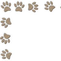 Bas för inbjudan till Faux Papper Struktur Tass av