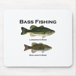 Bas- largemouth fiskelogotyp (- smallmouthen) musmatta