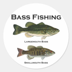 Bas- largemouth fiskelogotyp (- smallmouthen) runt klistermärke