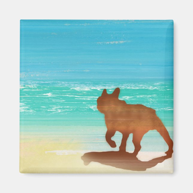 Bas Magnet (Framsidan)